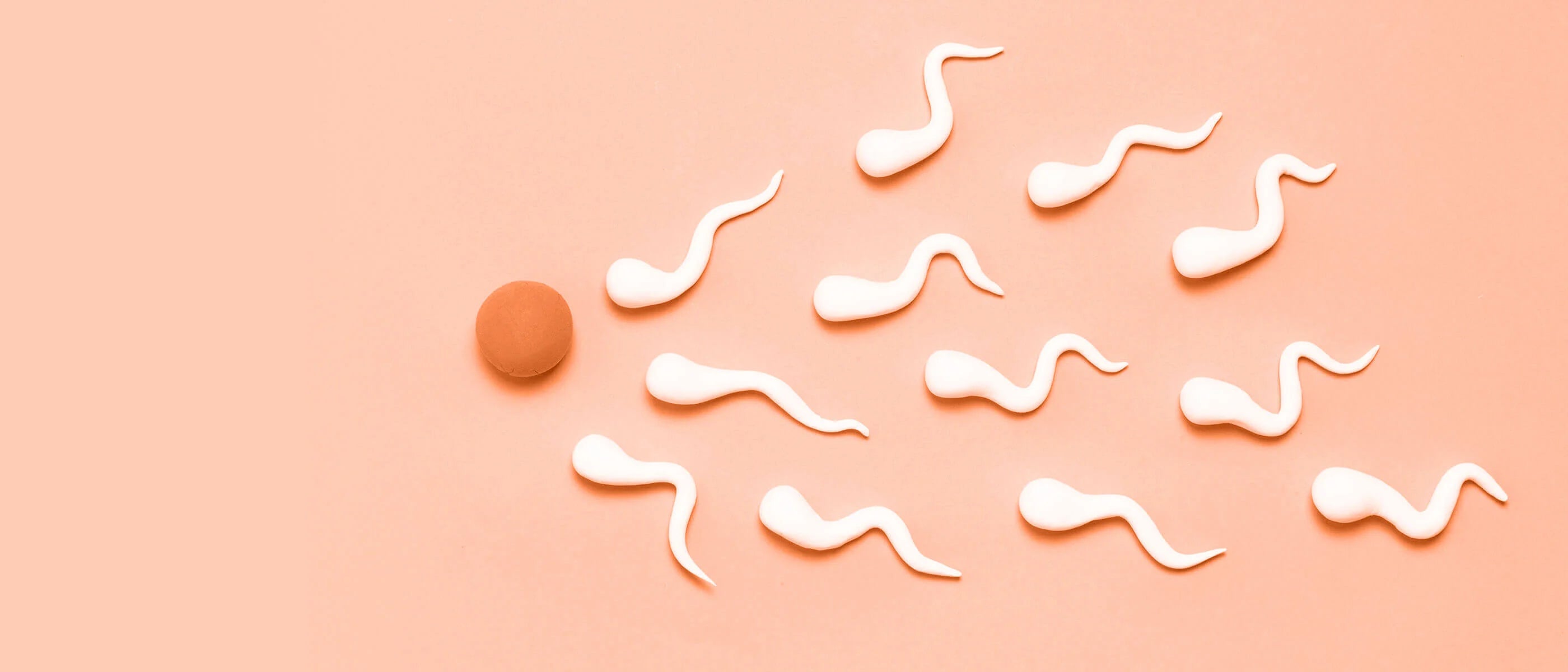 5 Hormone Imbalances That Can Make You Infertile