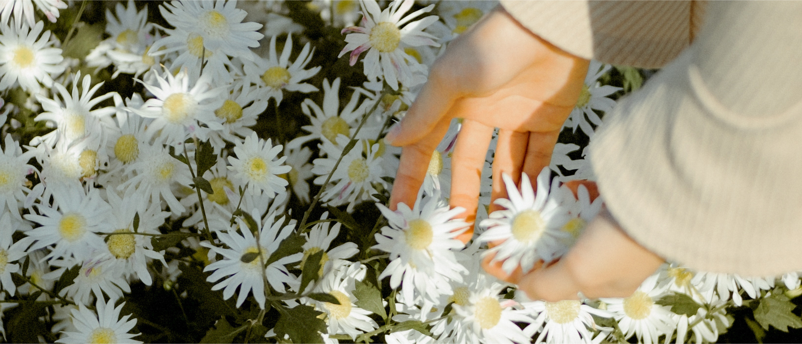 Oestrogen Dominance: What You Can Do