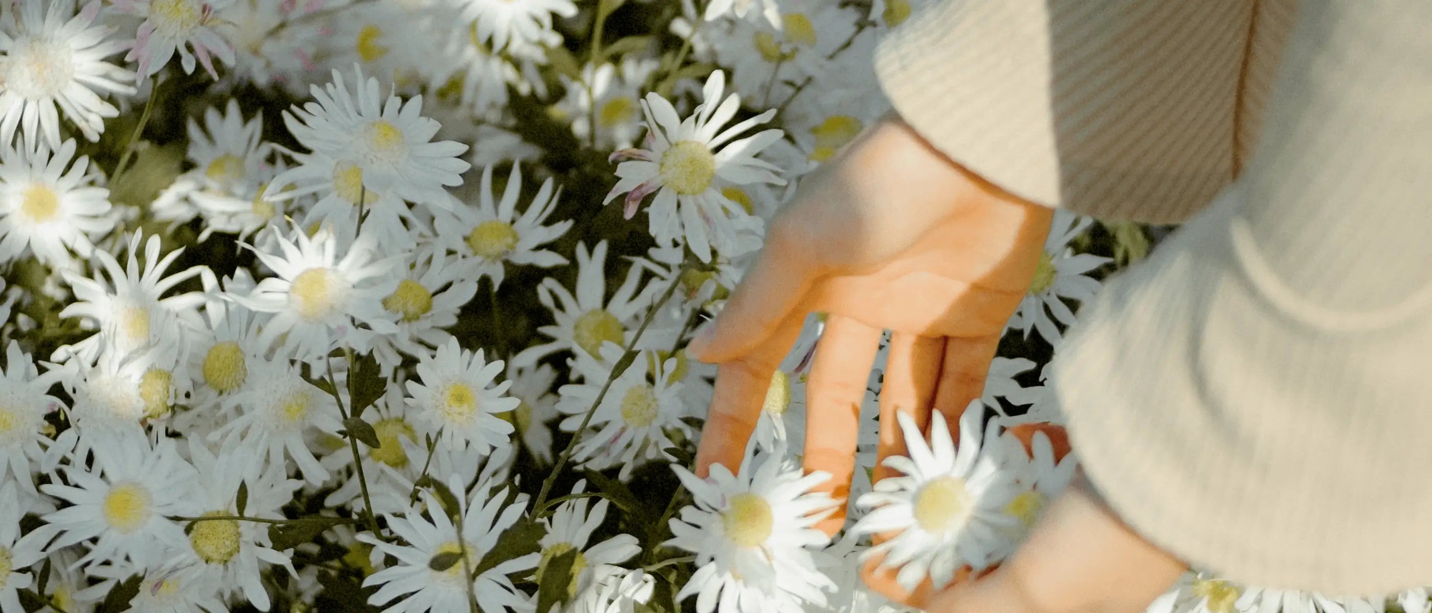 Frequent Yeast Infections? Let’s Take Care of That, Naturally.
