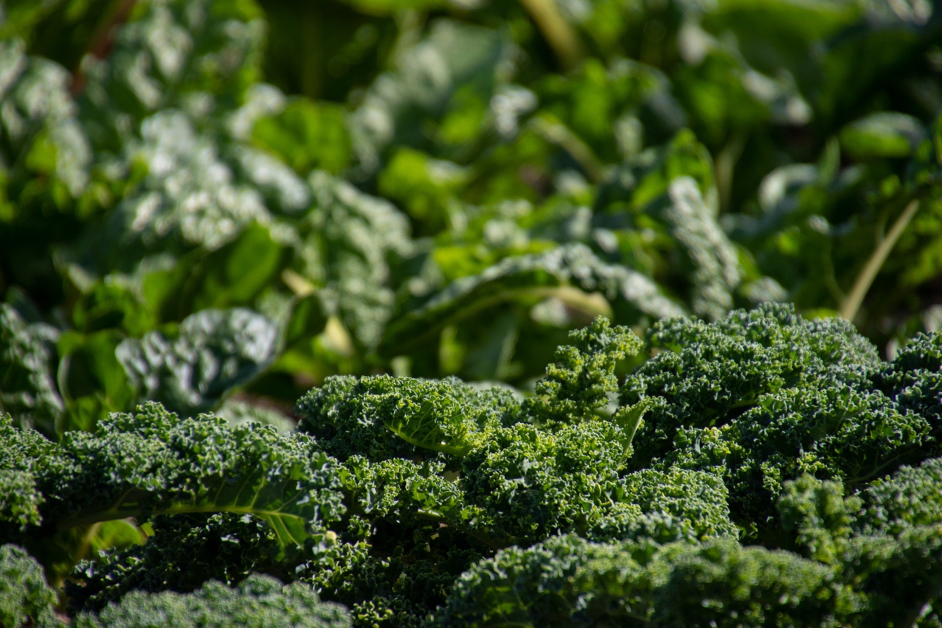 Spring Clean Your Plate (With These 5 Hormone-Loving Nutrients)